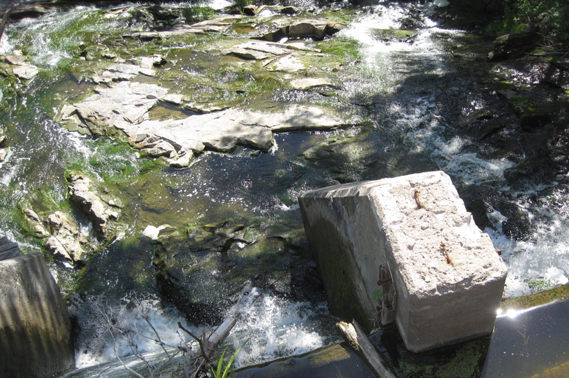 View looking over a dam into a creek