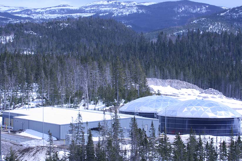 Corner Brook water treatment plant surrounded by trees in winter