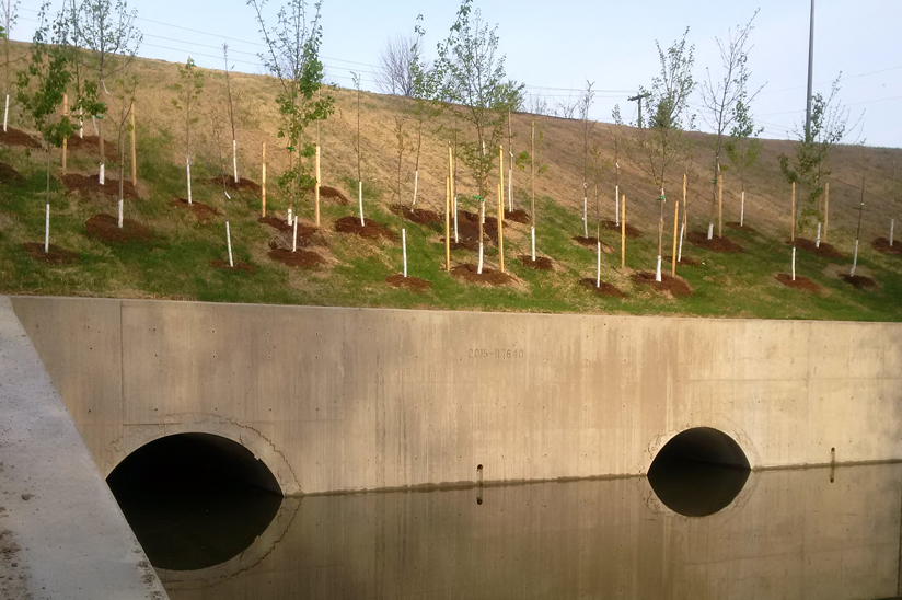 Photo of Prince of Wales Culvert